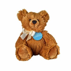 Knuddel Bär 25cm