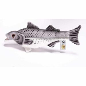 Seebarsch 25cm