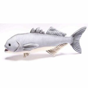 Blaubarsch 43cm